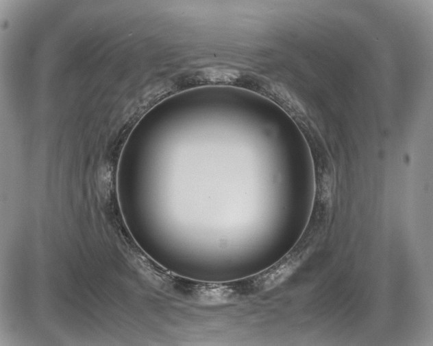 X0000087540321200704271238