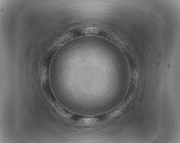 X0000087540323200704271238