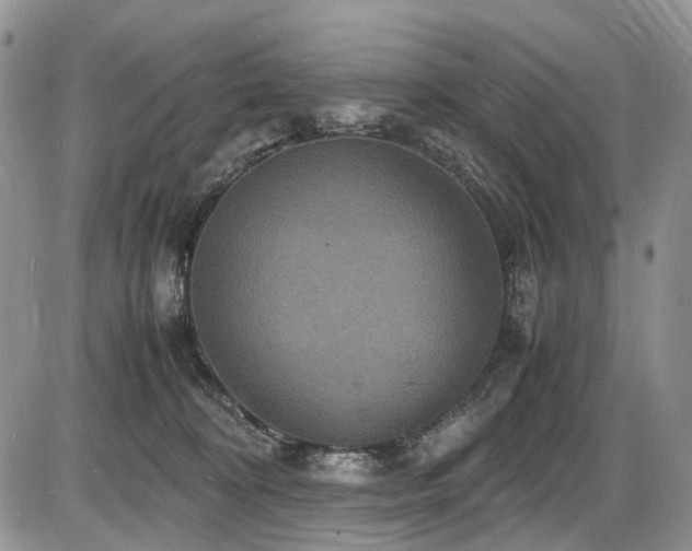 X0000087540324200704271238
