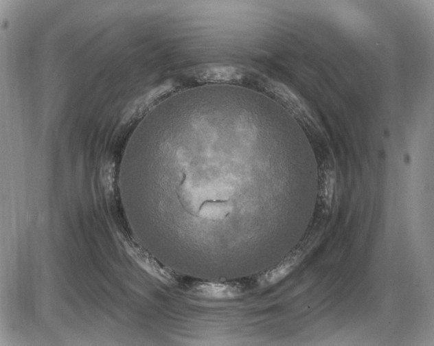 X0000087540326200704271238