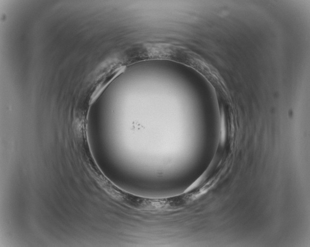 X0000087540329200704271238