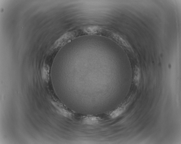 X0000087540332200704271238