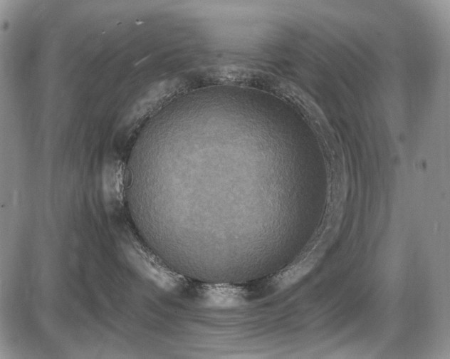 X0000087540336200704271238