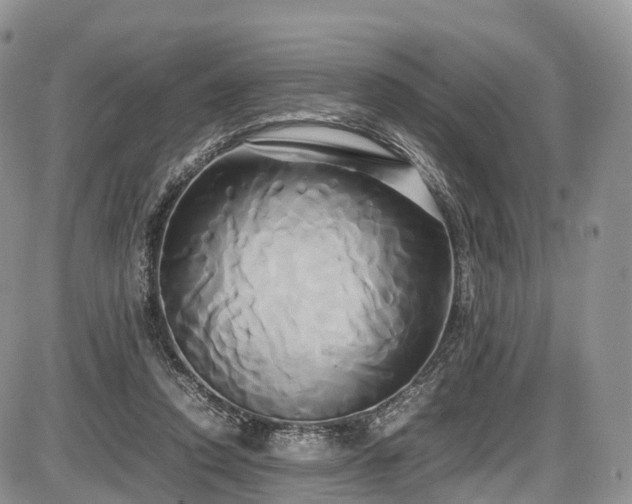 X0000087540354200704271238