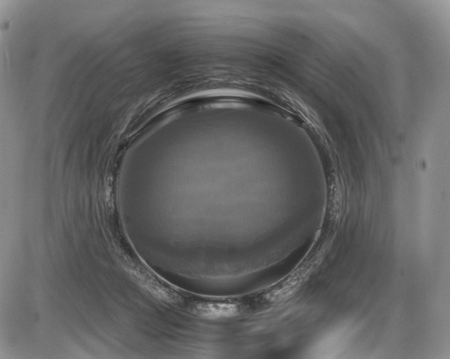 X0000087540361200704271238