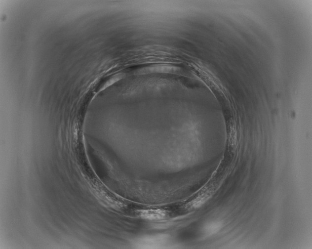 X0000087540363200704271238
