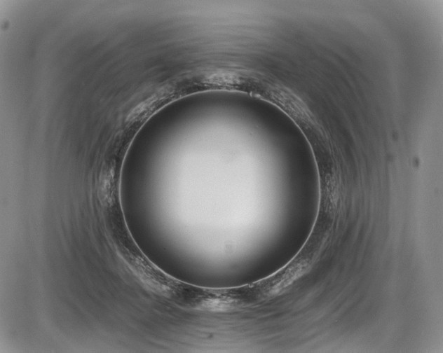 X0000087540364200704271238