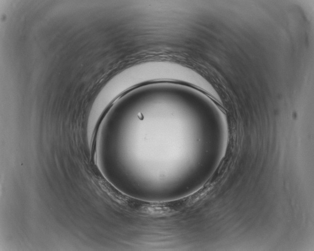 X0000087540372200704271238