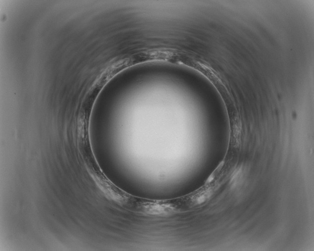 X0000087540379200704271238