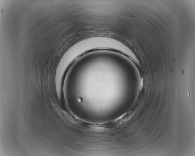X0000087540380200704271238