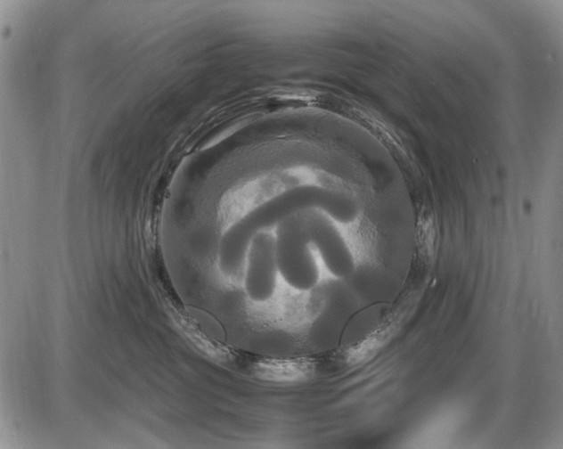 X0000087540381200704271238