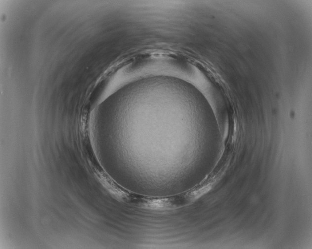 X0000087540382200704271238