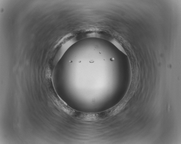 X0000087540384200704271238