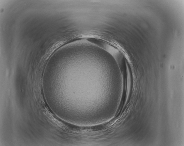 X0000087540385200704271237