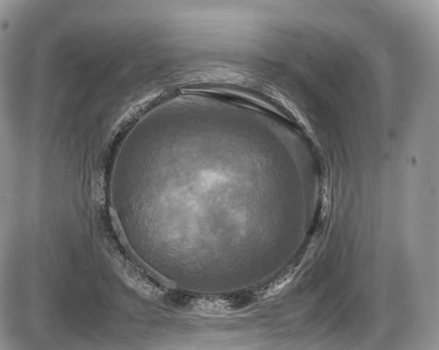 X0000087540403200704271237