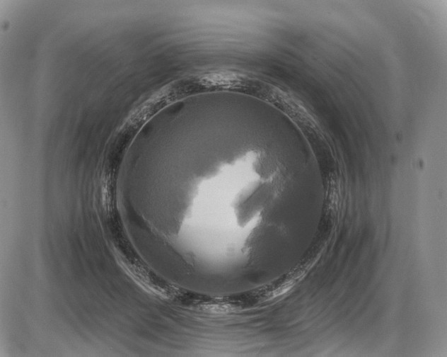X0000087540408200704271237