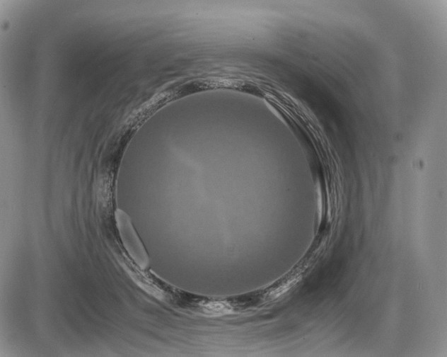 X0000087540409200704271237