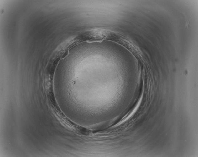 X0000087540413200704271237