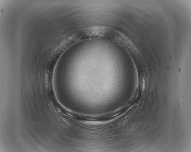 X0000087540416200704271237