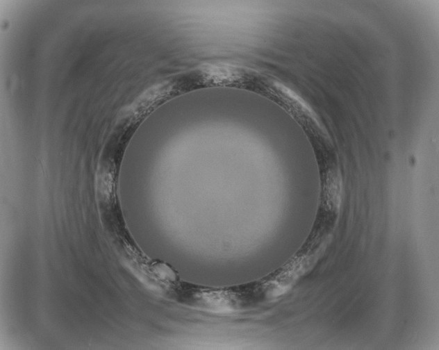 X0000087540417200704271237
