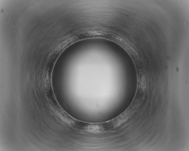 X0000087540418200704271237
