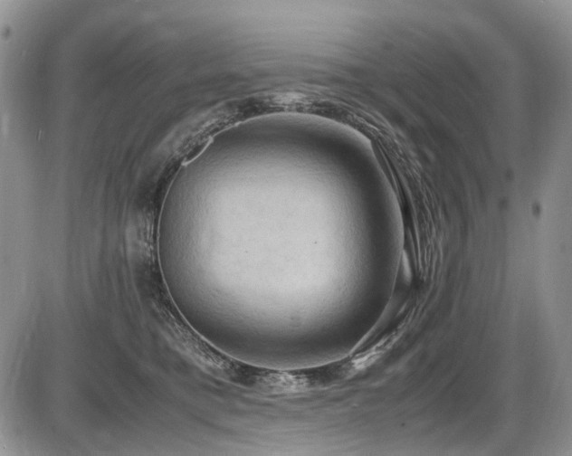 X0000087540421200704271237