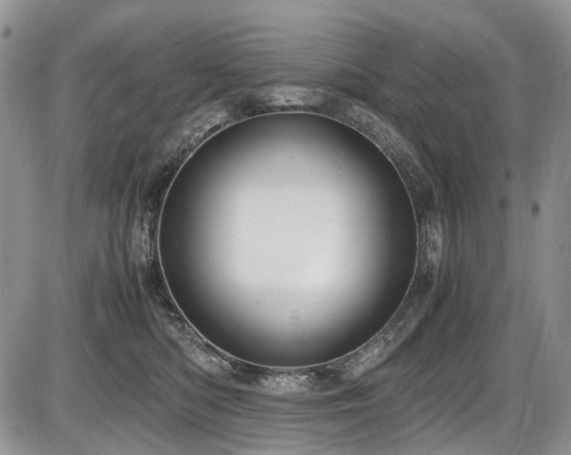 X0000087540422200704271237