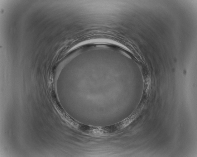 X0000087540423200704271237