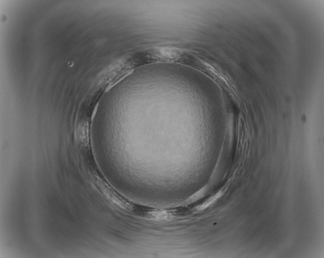 X0000087540425200704271237