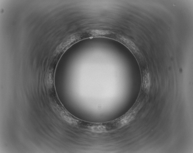 X0000087540426200704271237