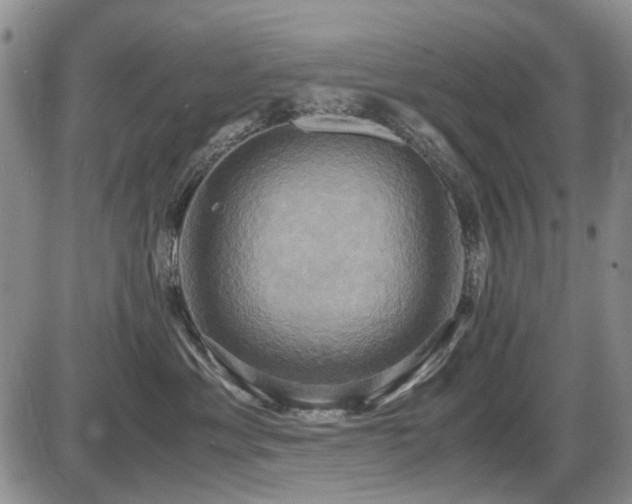 X0000087540429200704271237
