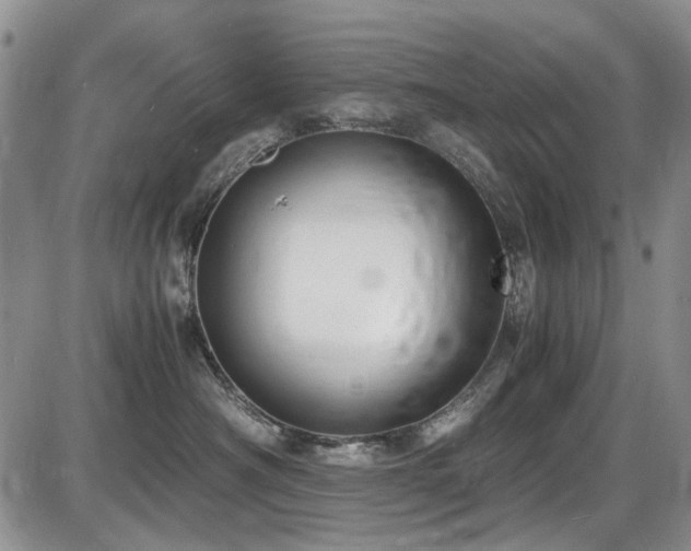 X0000087540430200704271237