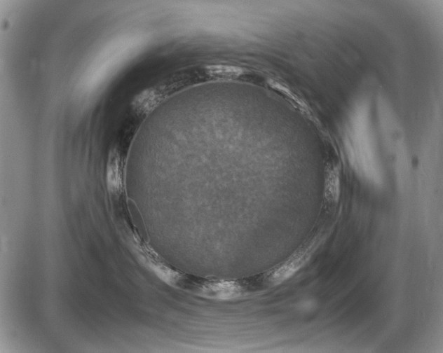 X0000087540431200704271237