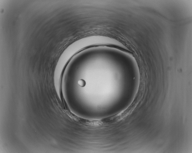 X0000087540432200704271237