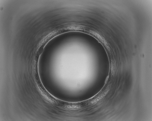 X0000087540445200704271236