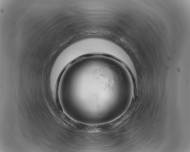 X0000087540456200704271236