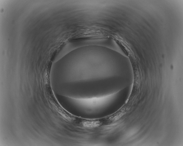 X0000087540465200704271236