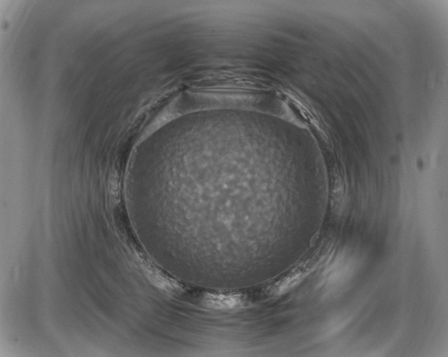 X0000087540469200704271236