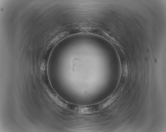 X0000087540472200704271236