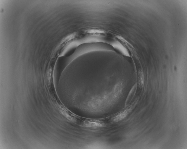 X0000087540475200704271236