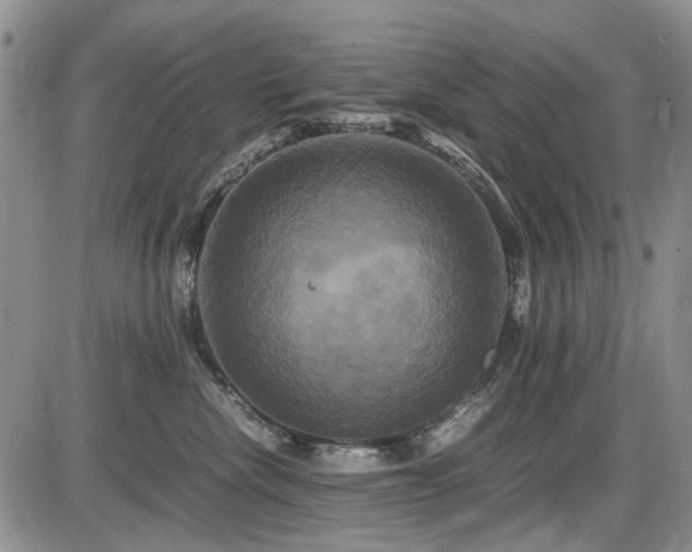 X0000087540476200704271236