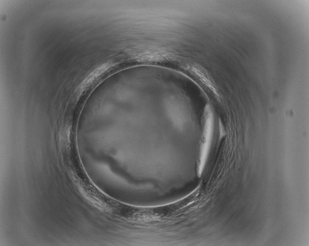 X0000087540491200704271236