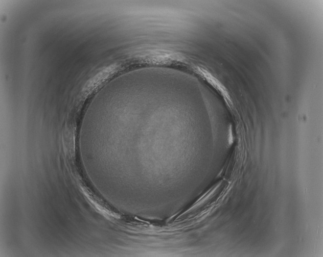 X0000087540493200704271236