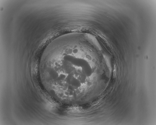 X0000087540499200704271235