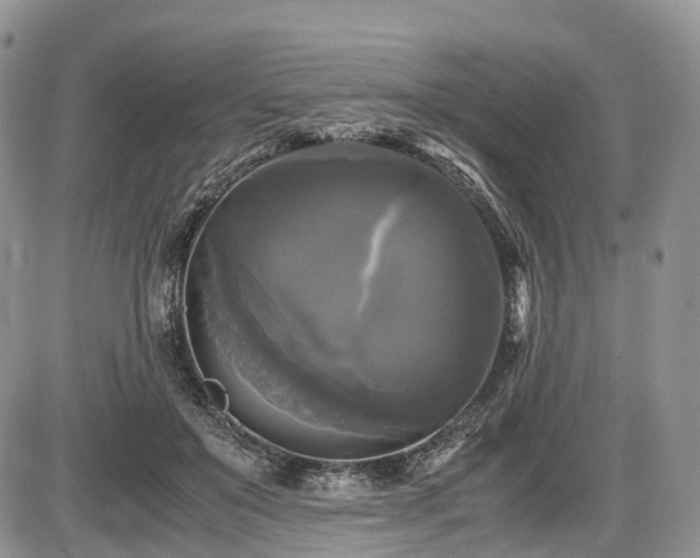 X0000087540503200704271235