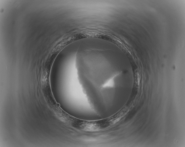 X0000087540507200704271235