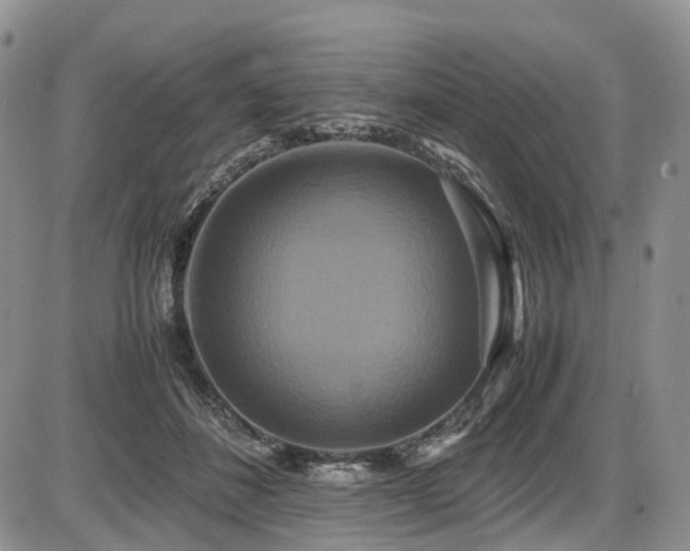 X0000087540508200704271235