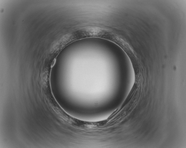 X0000087540509200704271235