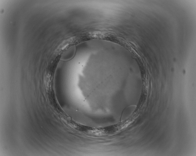 X0000087540511200704271235