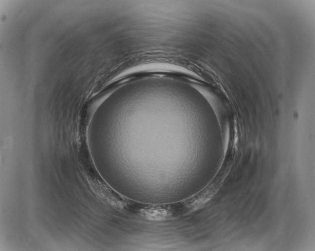 X0000087540512200704271235